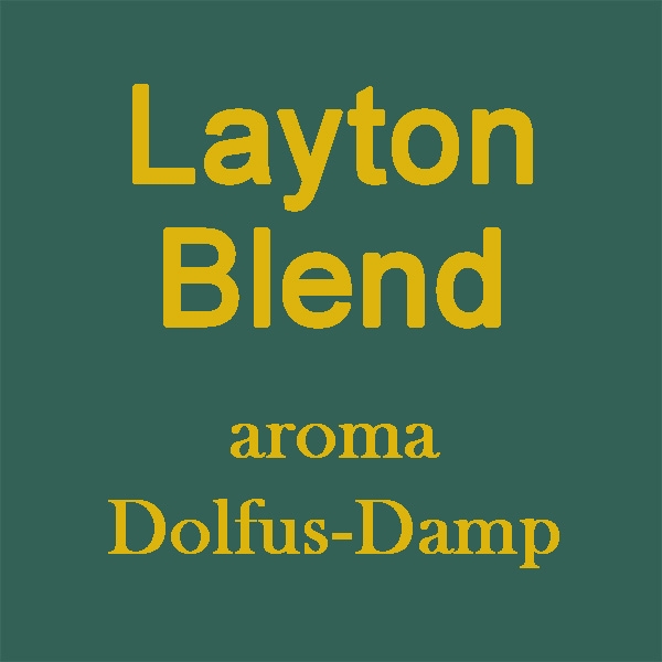 Layton blend 10ml