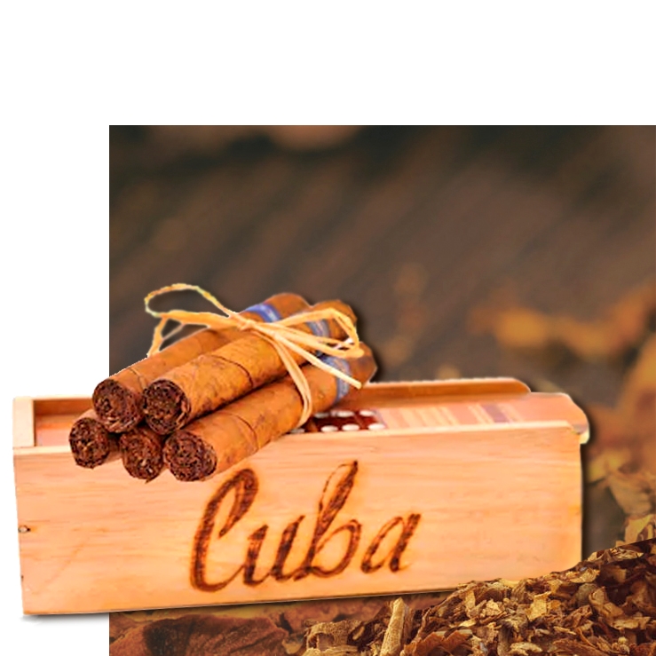 Cuban supreme 1ml